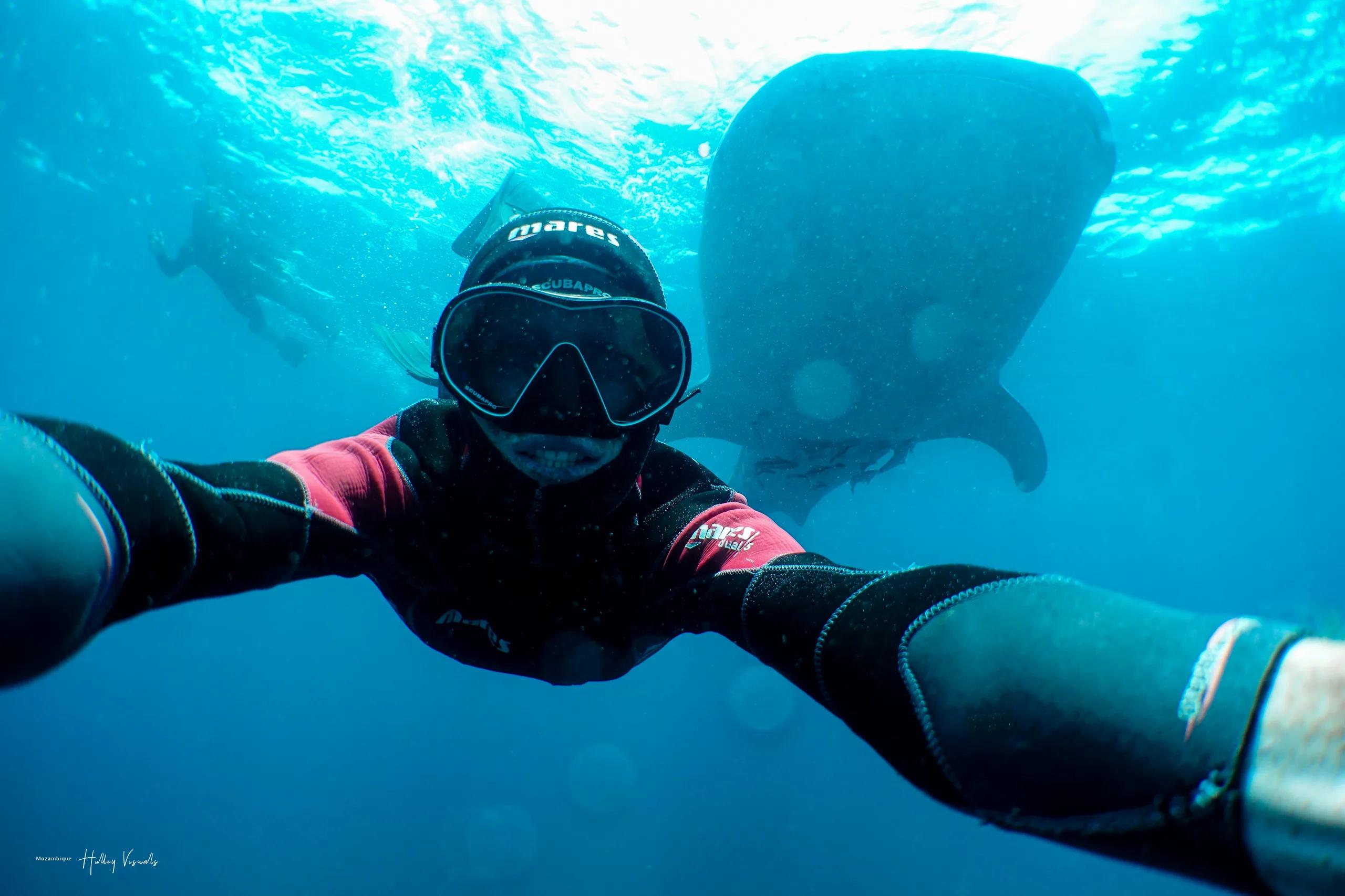 Diver with a whale shark in Mozambique